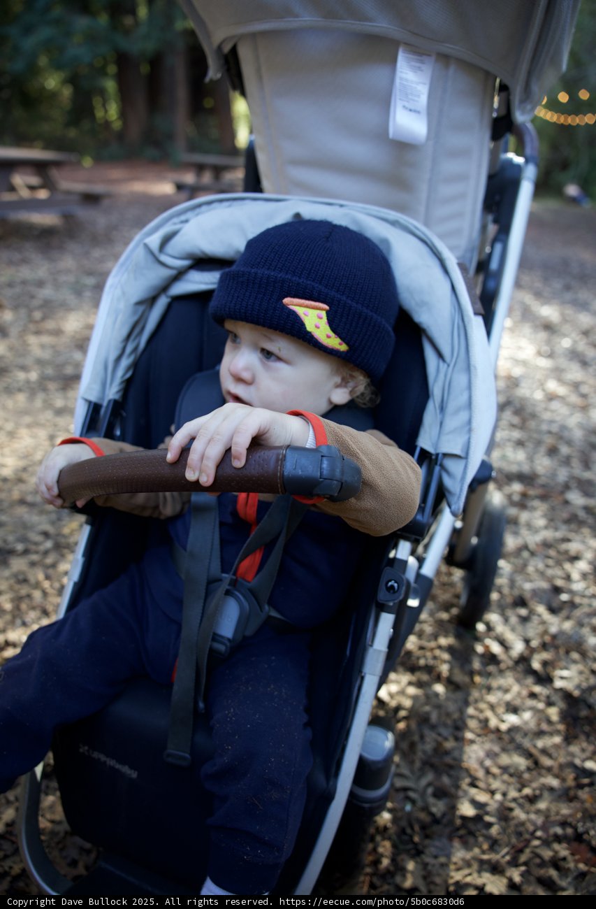 Little Adventurer in Thistlewyck