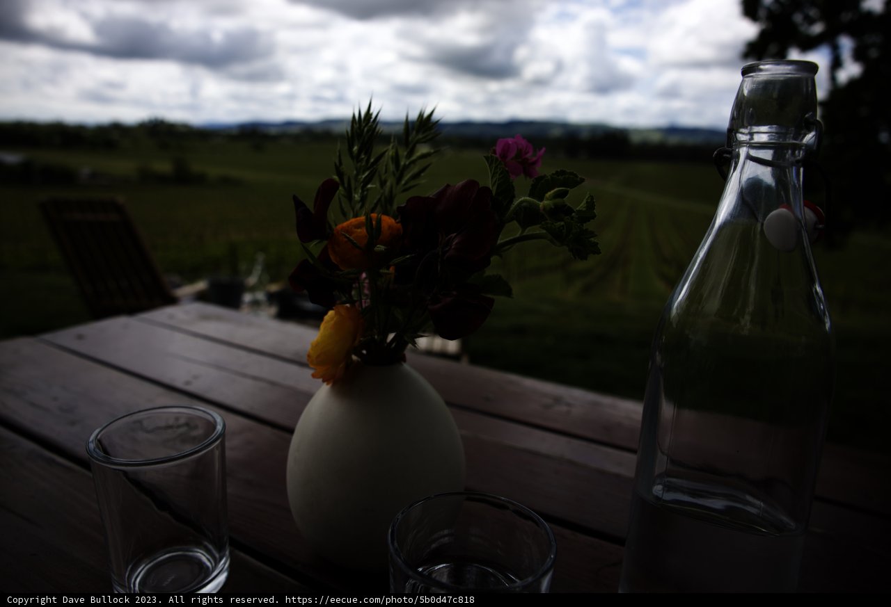 Floral Delights at Scribe Winery