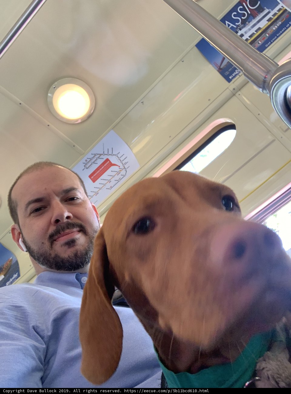 Man and His Loyal Hound