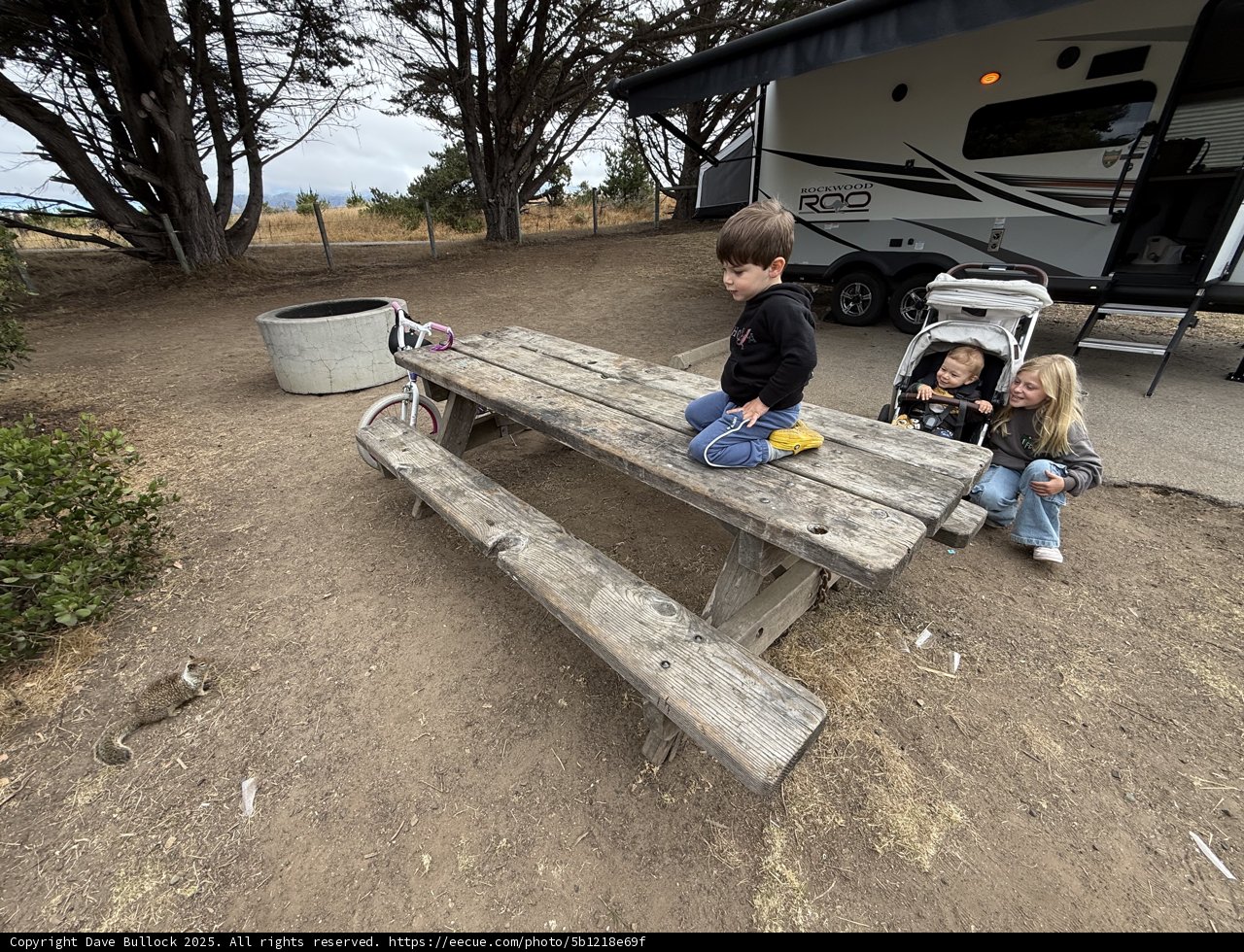 Morning Moments in Cambria