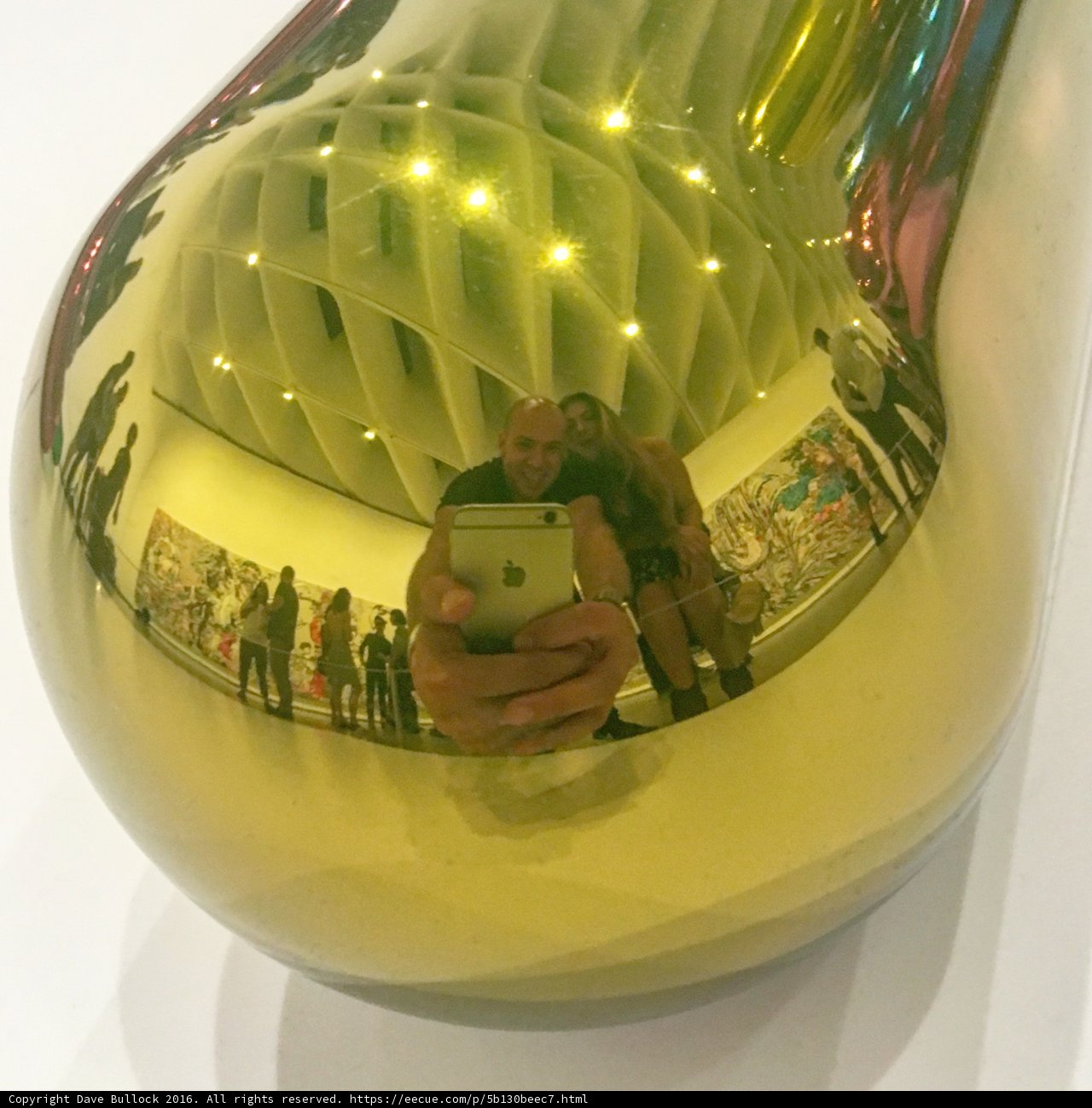 The Golden Selfie