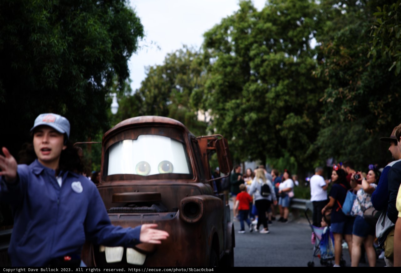 Magical Encounter at Disneyland