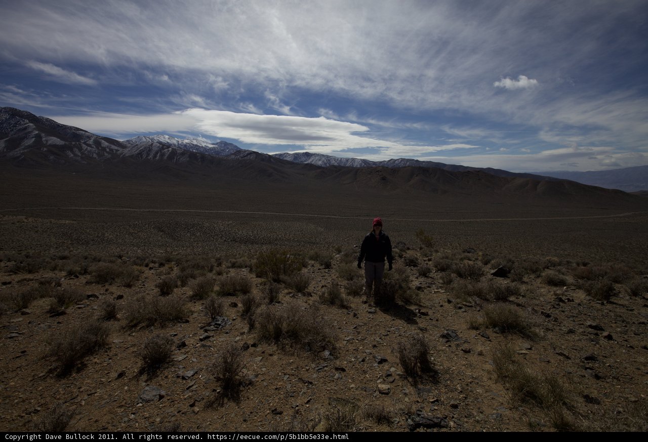 Solitude in the Sandy Wilderness