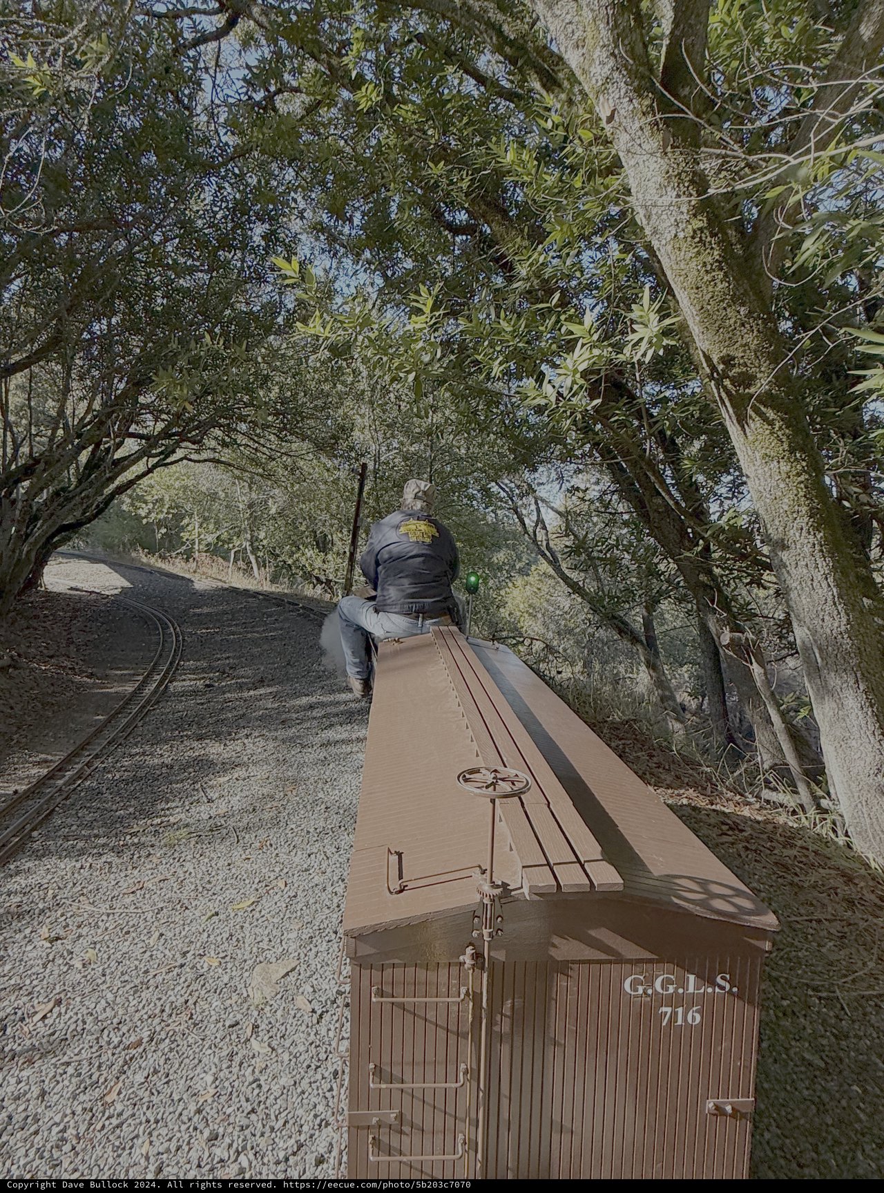 Vintage Railway Car Through Forest Path
