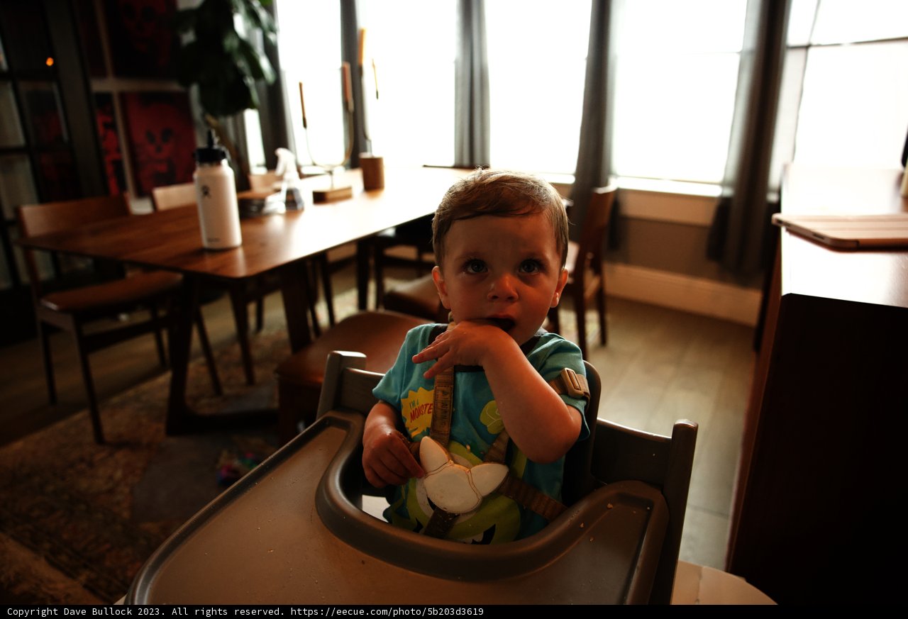 Wesley's Adorable First Birthday Celebration