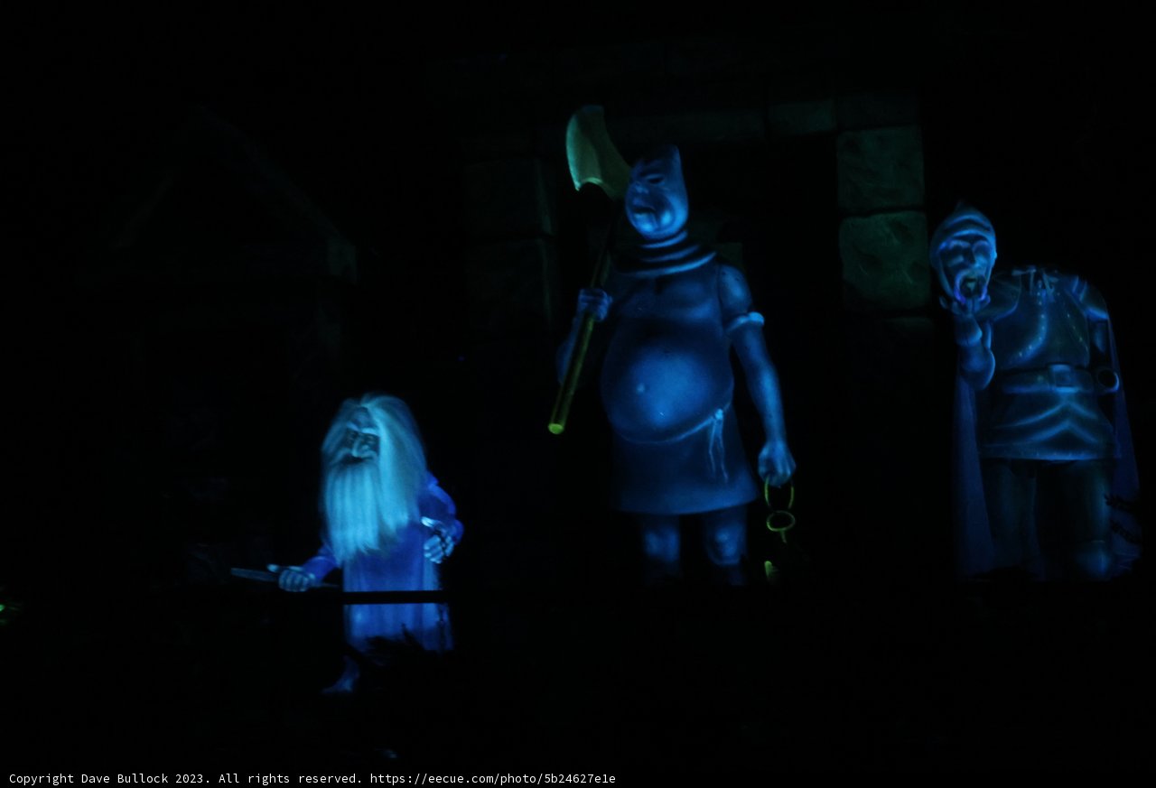 The Magic of Disneyland Kingdom Captured