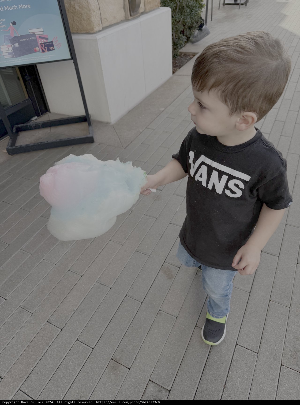Young Child Enjoys Colorful Cotton Candy Treat