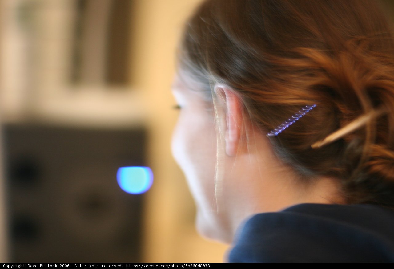 Hair Accessory