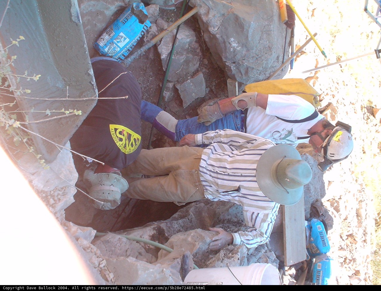 The Excavators