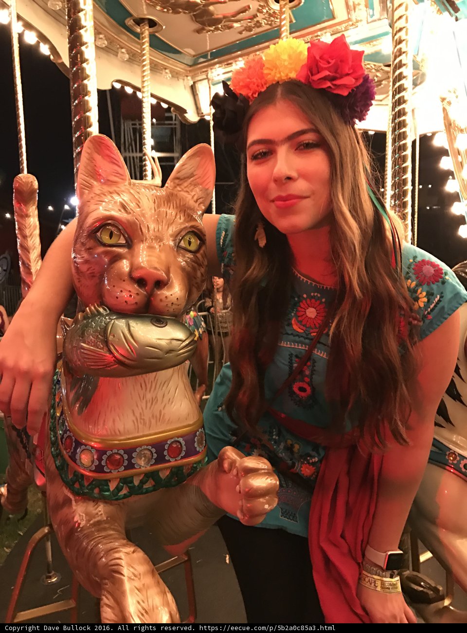 Carousal Joy With a Feline Friend