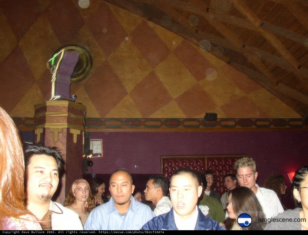 Midnight Crowd at the Club