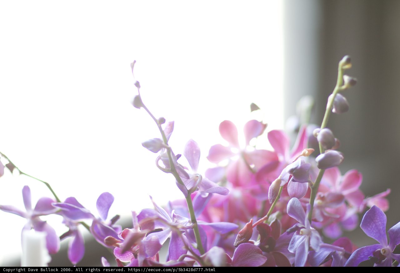 Vibrant Floral Arrangement