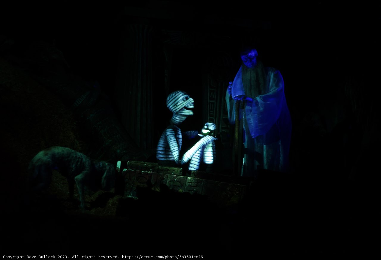 A Spooky Encounter at Disneyland