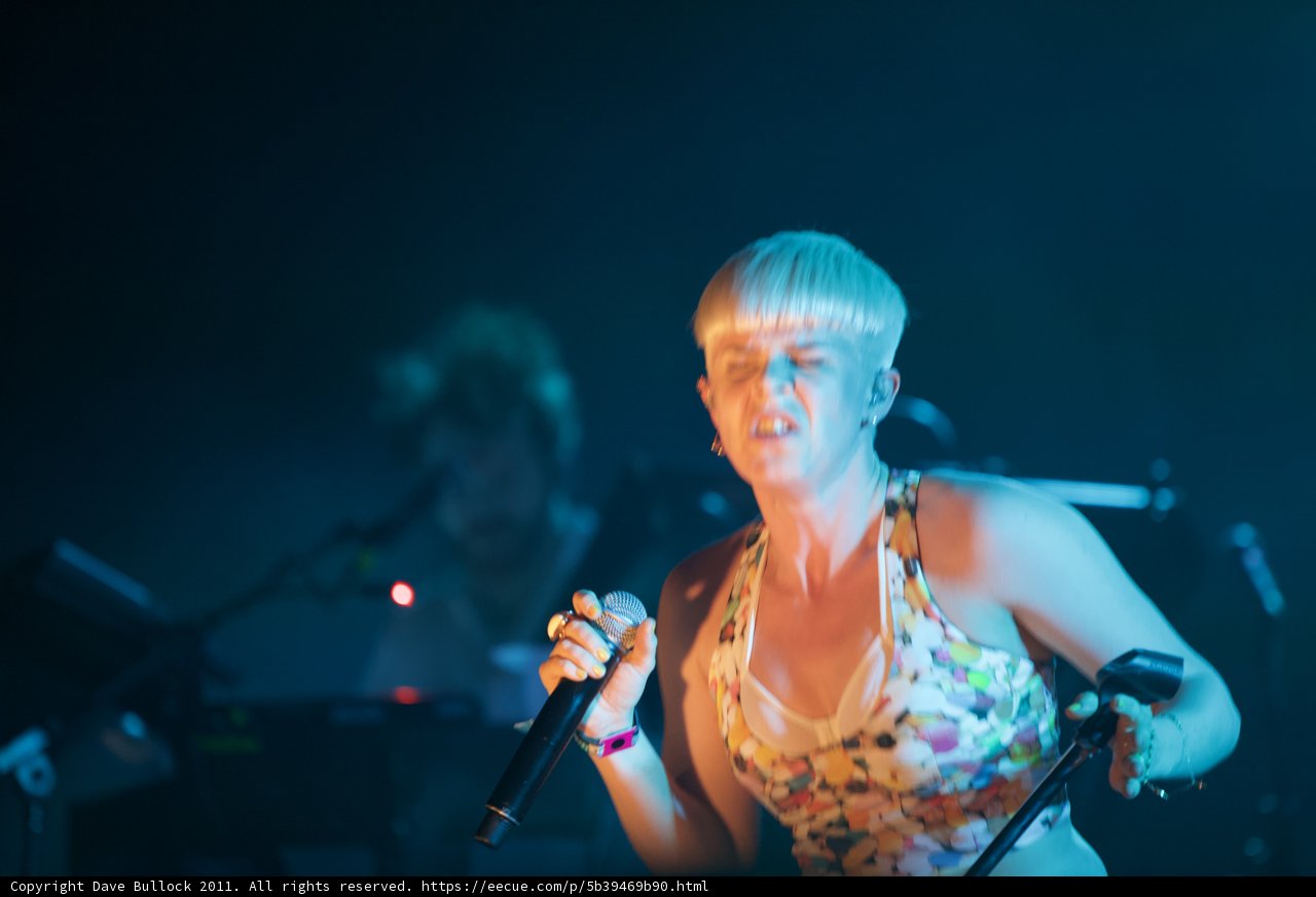 Pink Rocks the Stage at Coachella