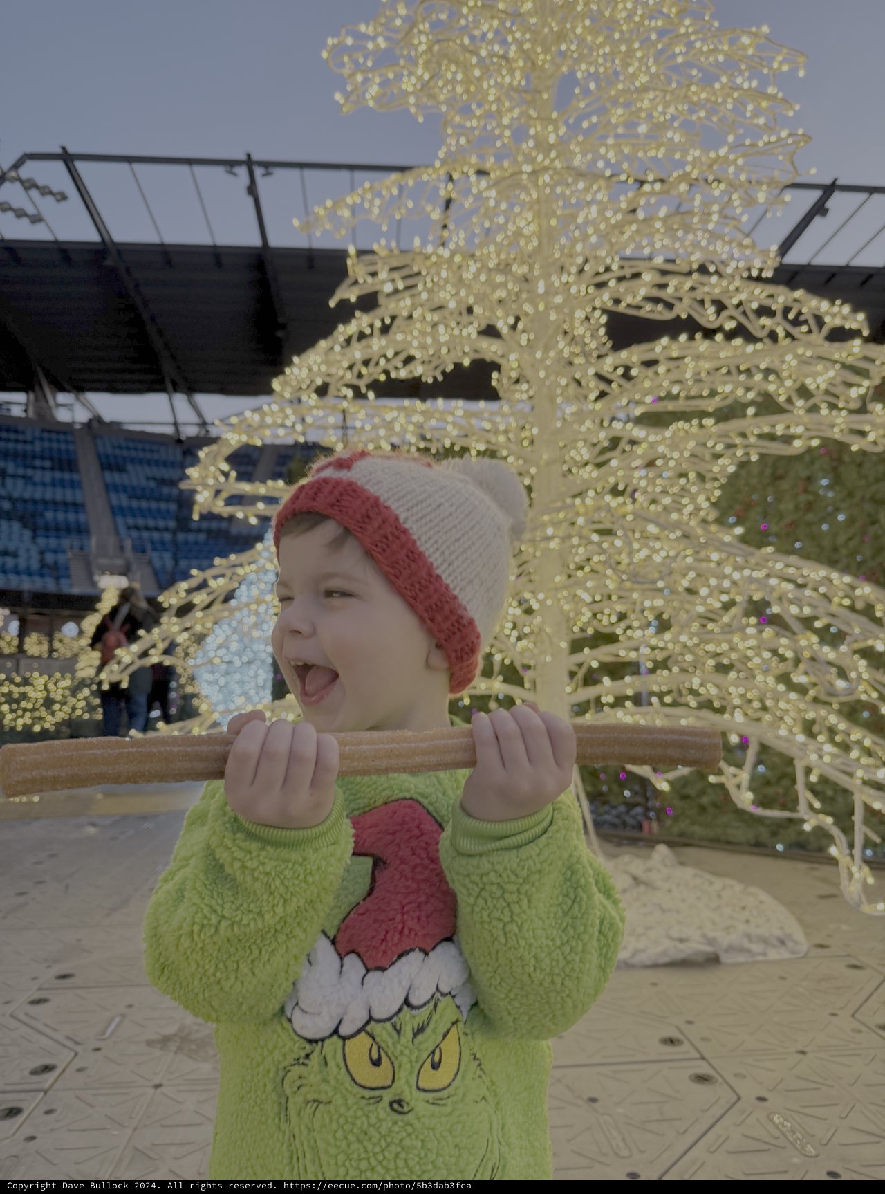 Child's Joyful Holiday Moment at Christmas Display