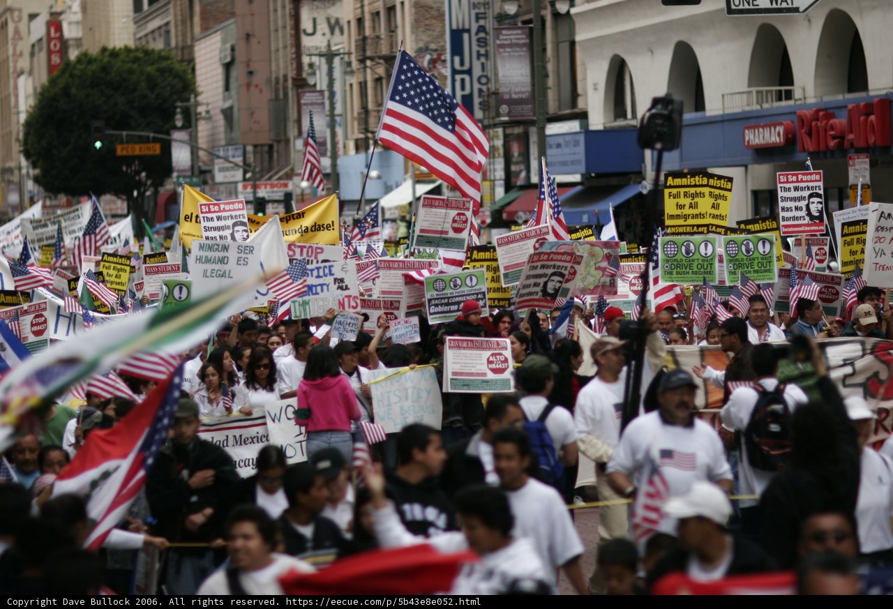 Massive Crowd at 2006 Student Protest