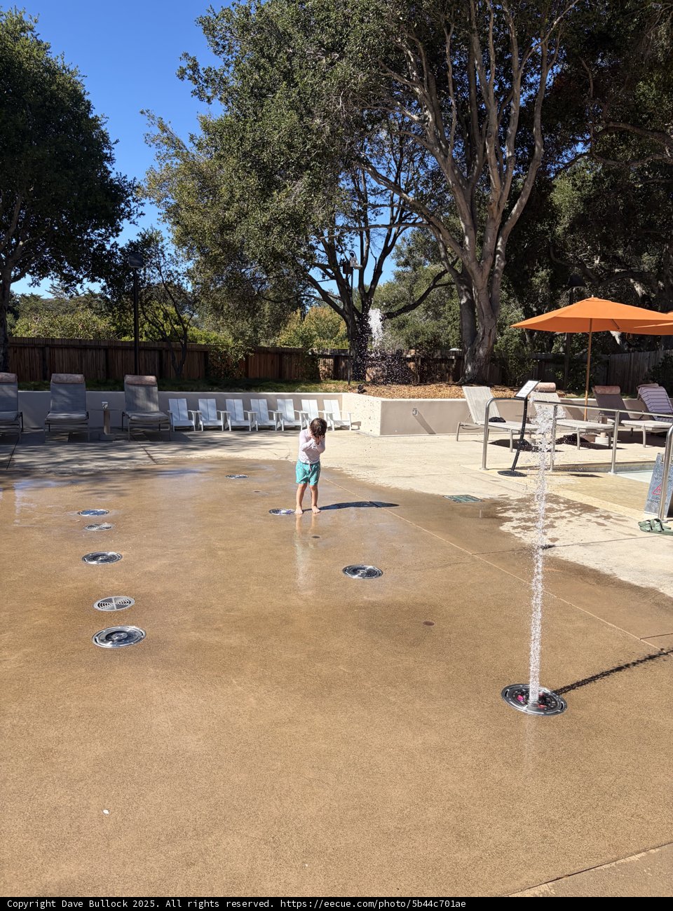 Splash of Joy in the Sun