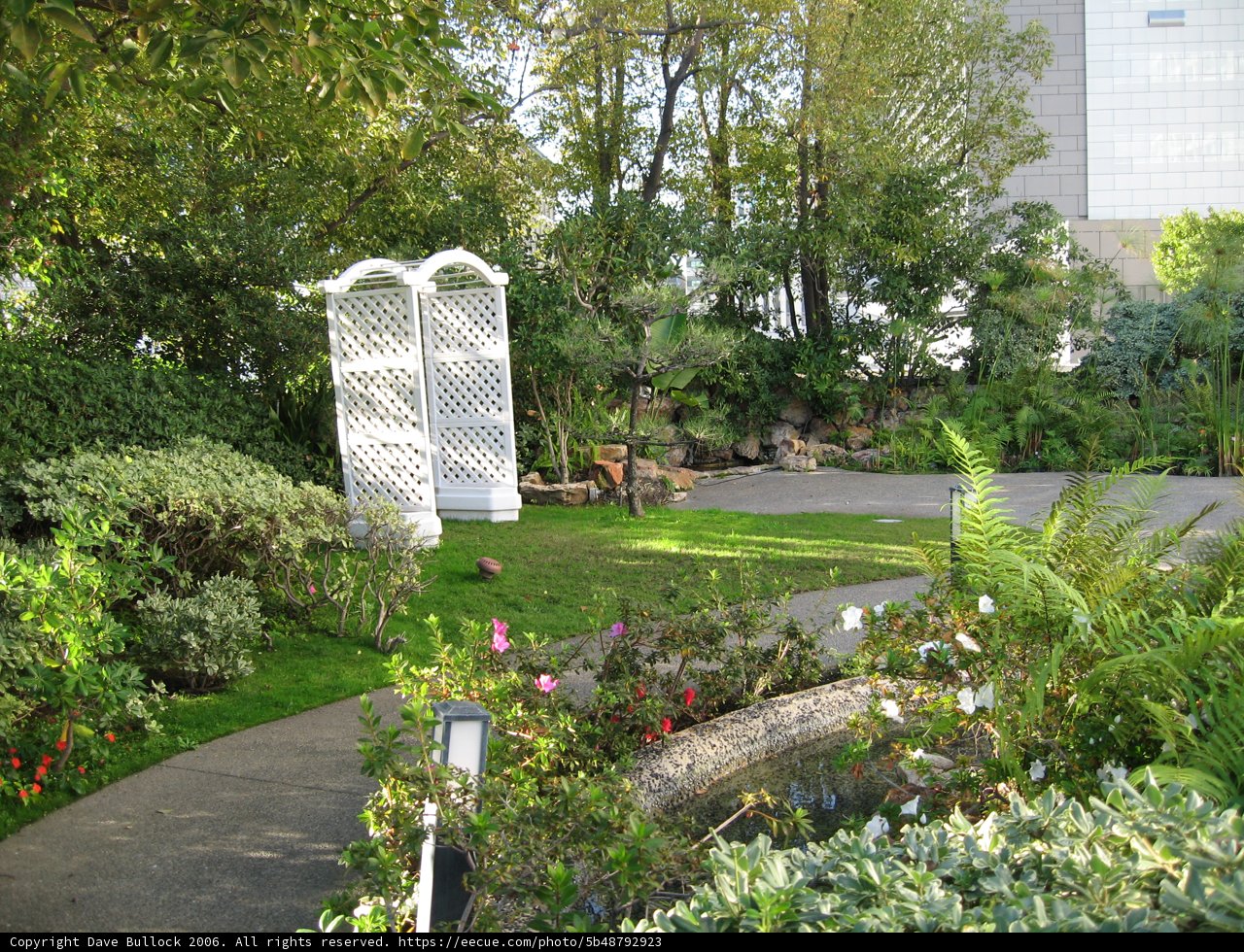 Tranquil Garden Oasis