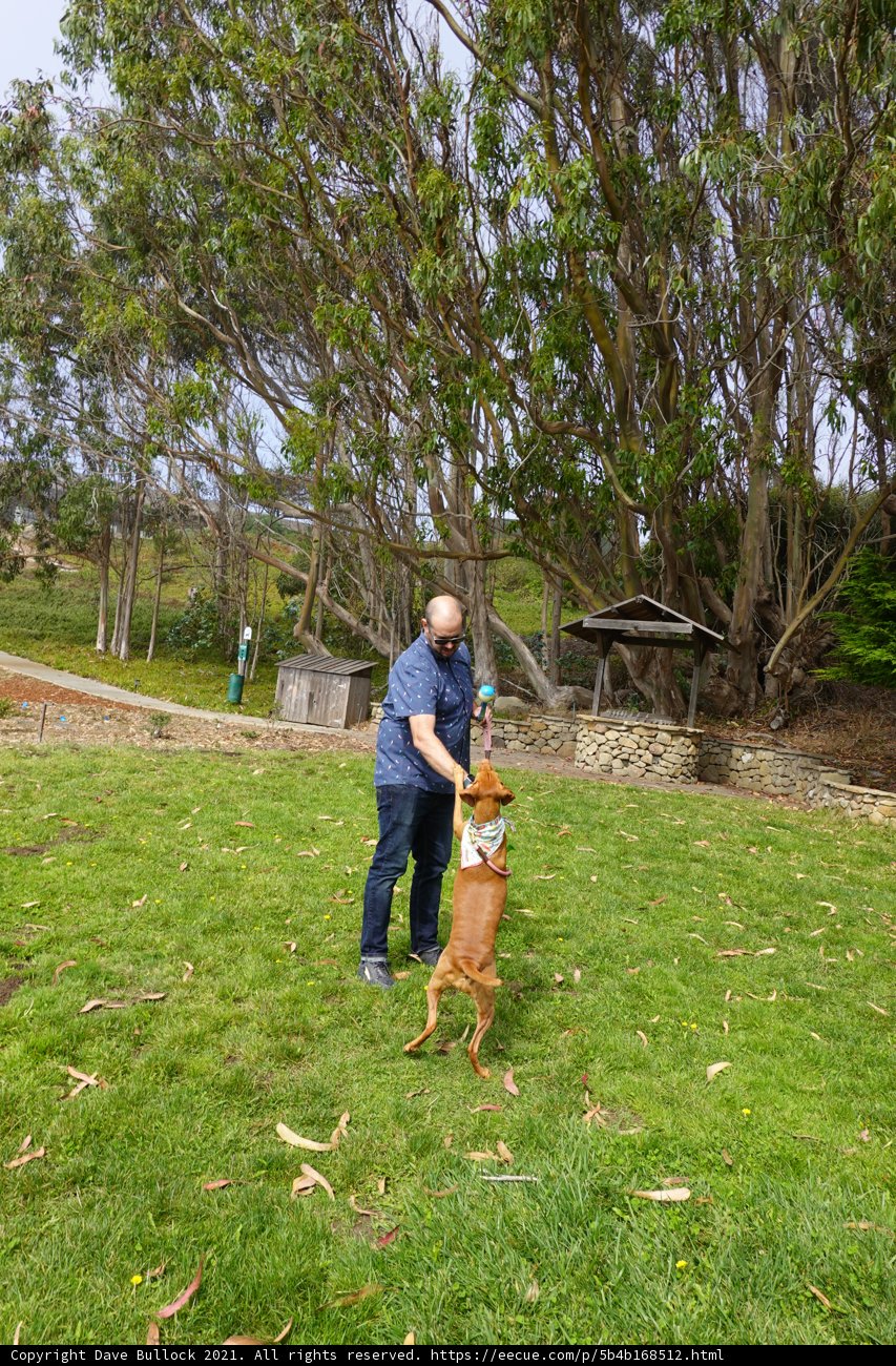 Playtime in the Park