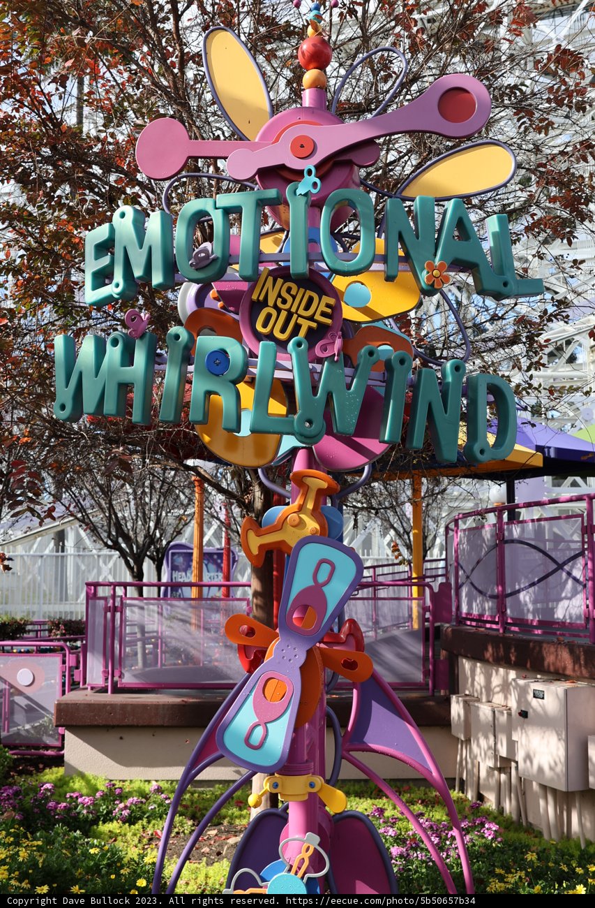 The Emotional Ride of the Wind