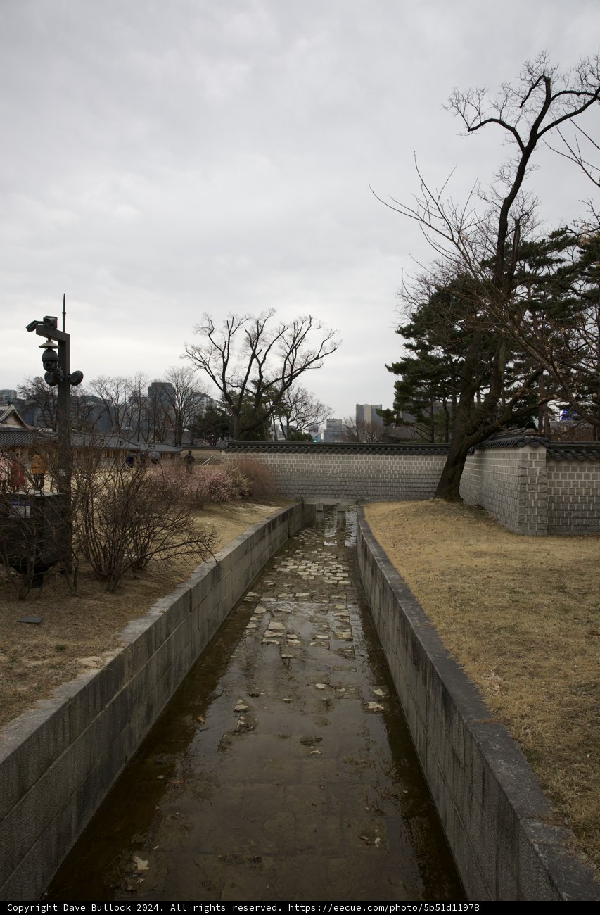 Spring Serenity in Korea 2024