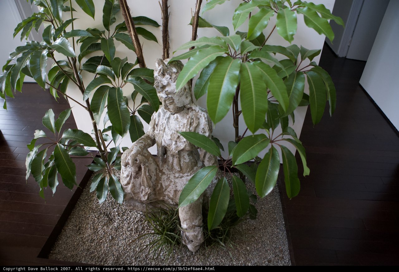 The Lady of the Garden