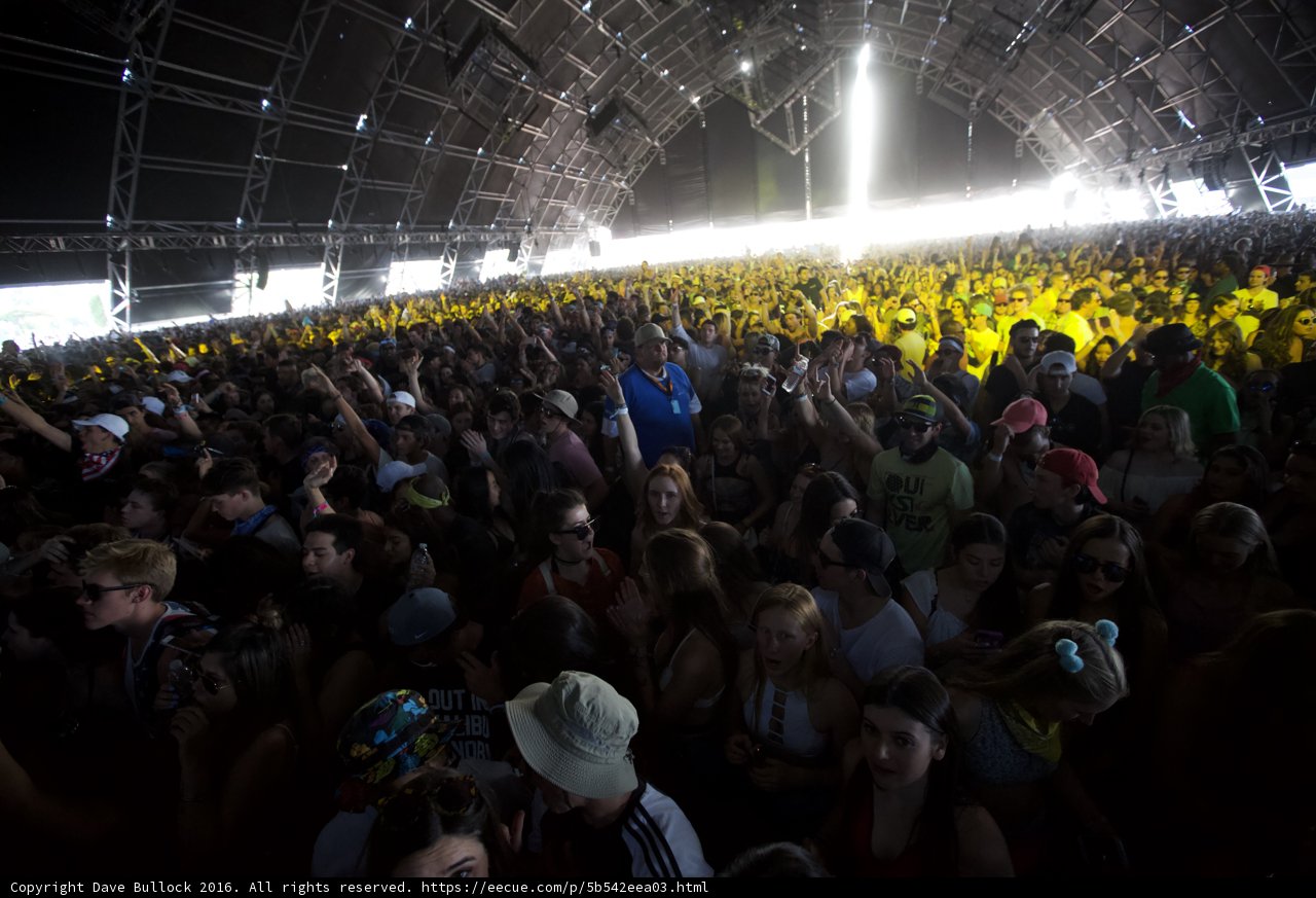 Coachella Crowd Goes Wild