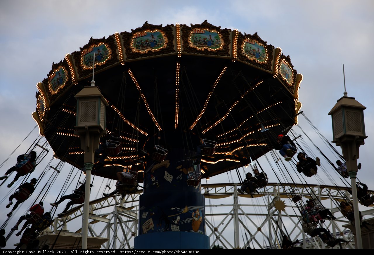 Soaring High at Disneyland