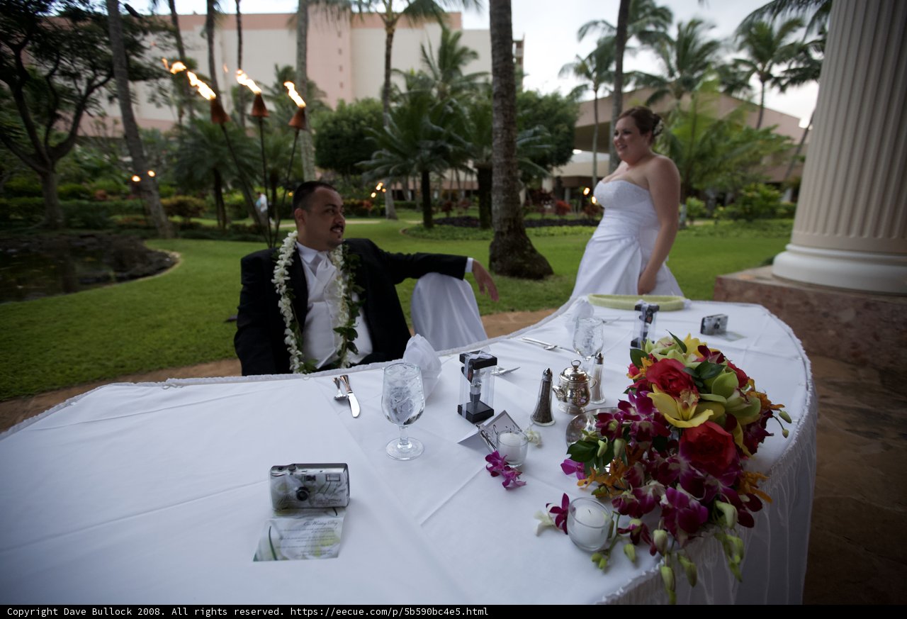 Hawaiian Wedding Bliss