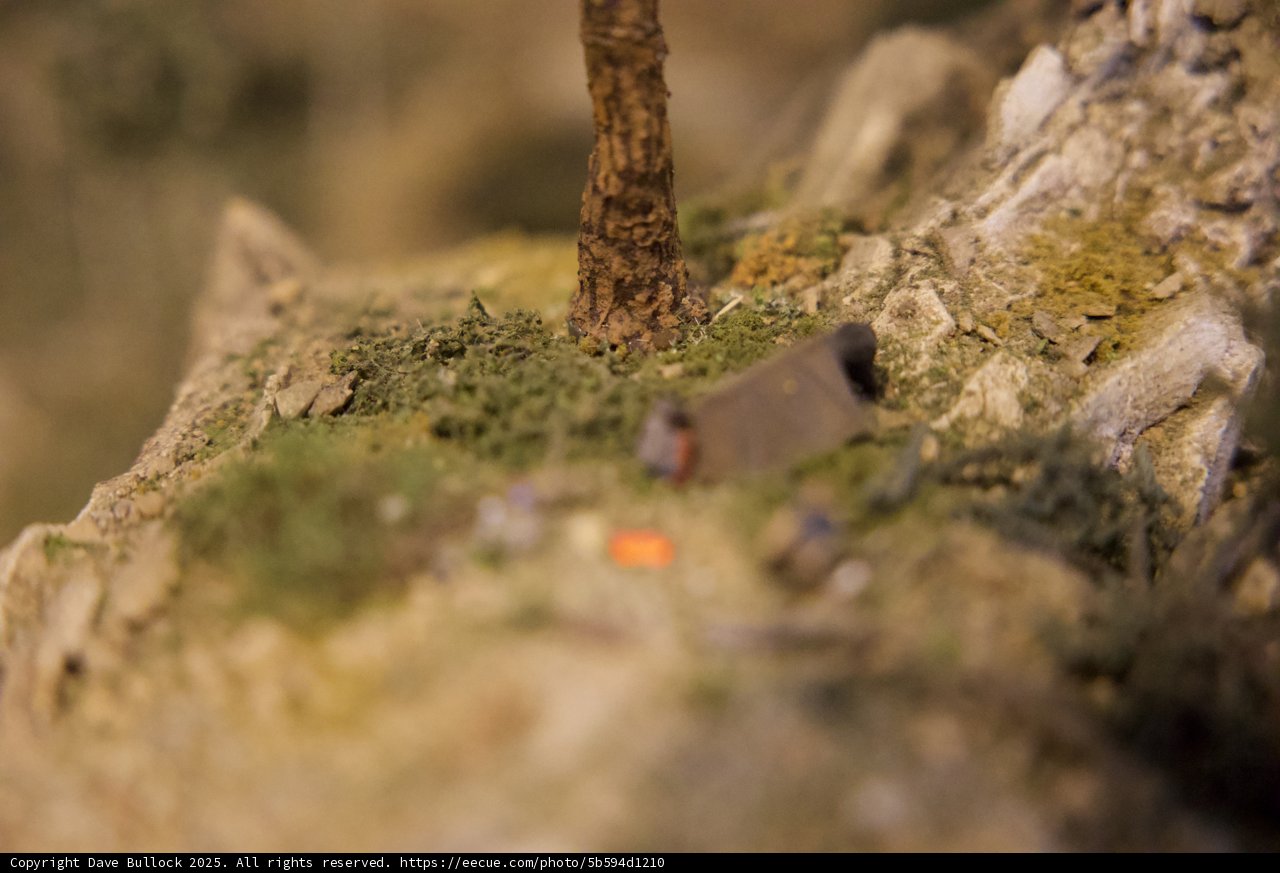 Miniature Wilderness Exploration