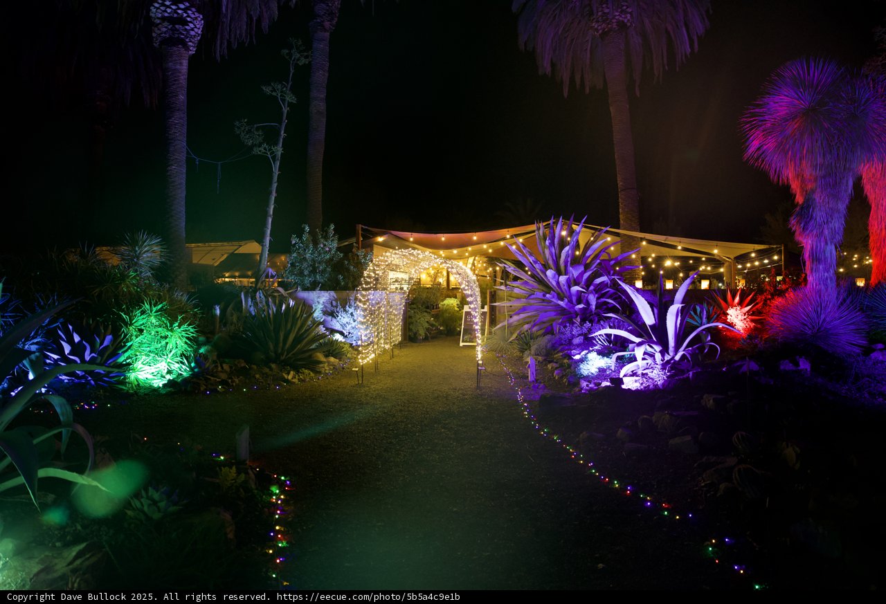 Enchanted Night at Garden of D'Lights