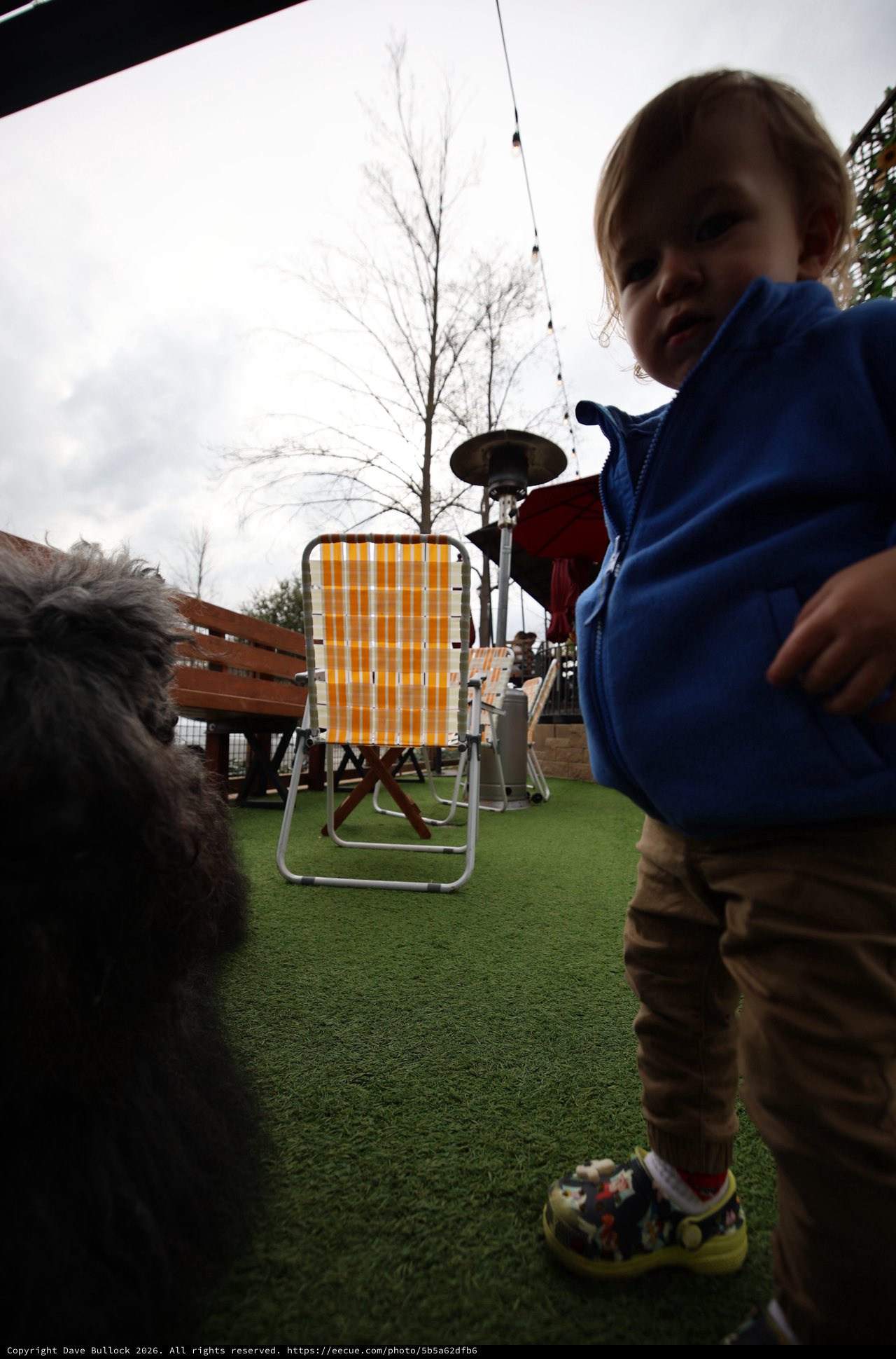 Young Boy and Dog on Artificial Grass Patio