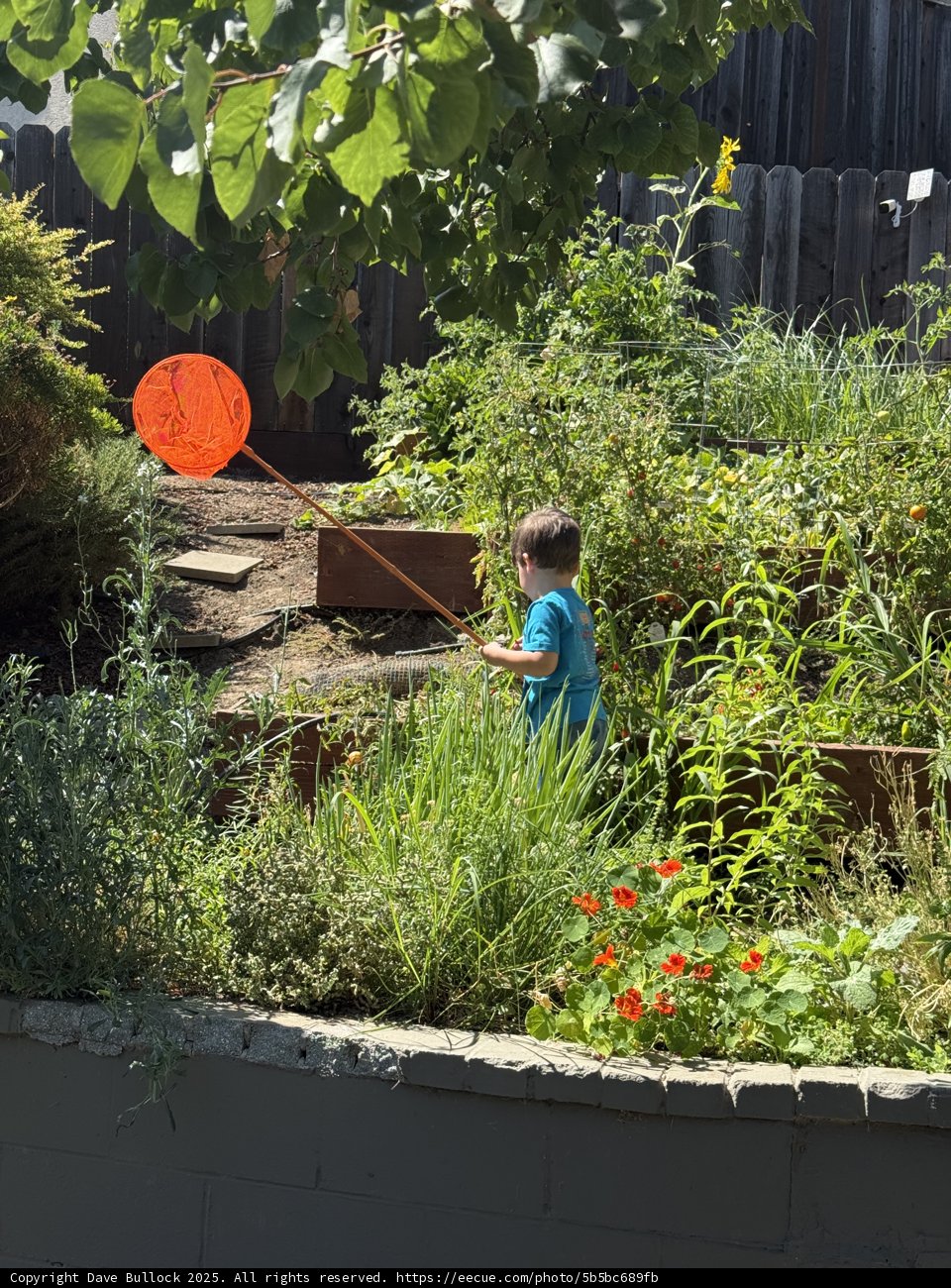 Summer Garden Adventure
