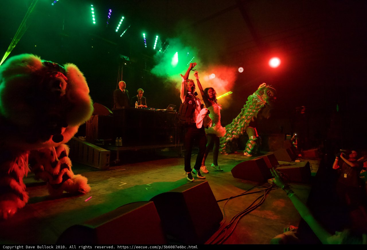 Wild Performers