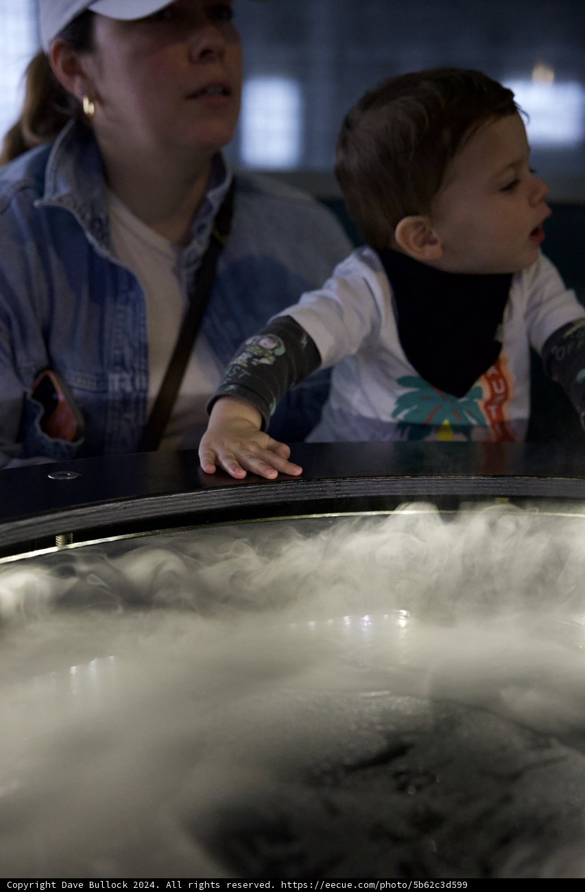 Discovering the Wonders of Water, Exploratorium - 2024
