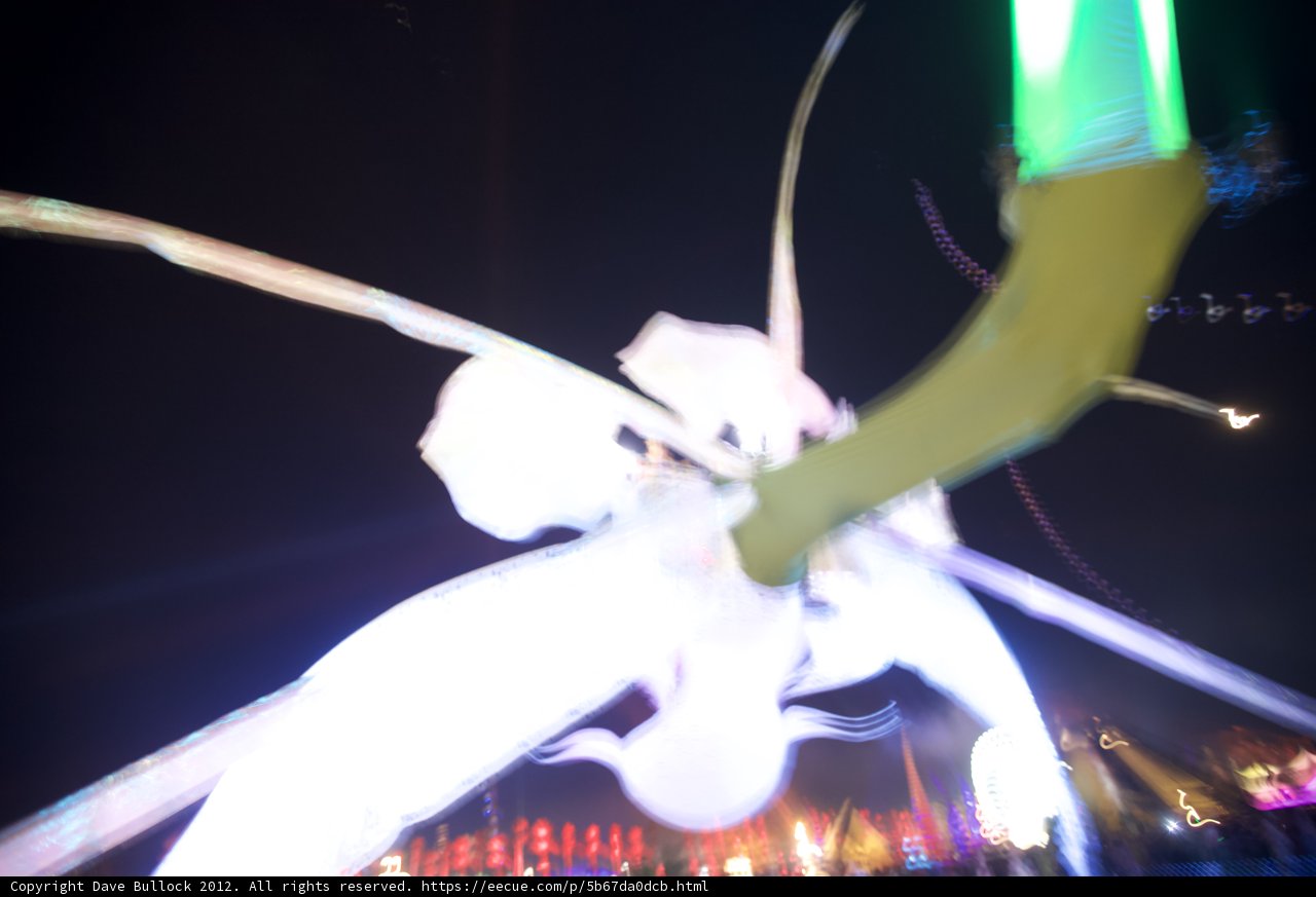Blurry Bug in the Night