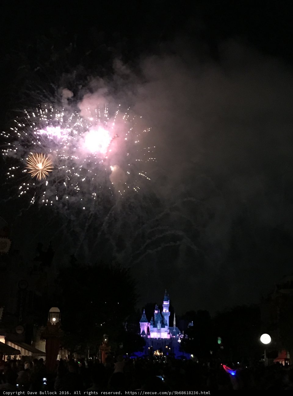 Magical Nighttime Spectacle at Disneyland