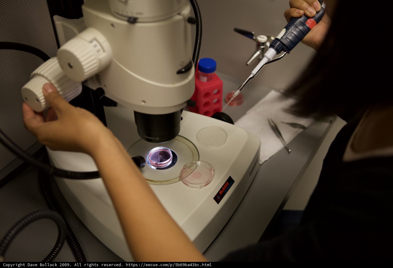 Examining the Tiny Details