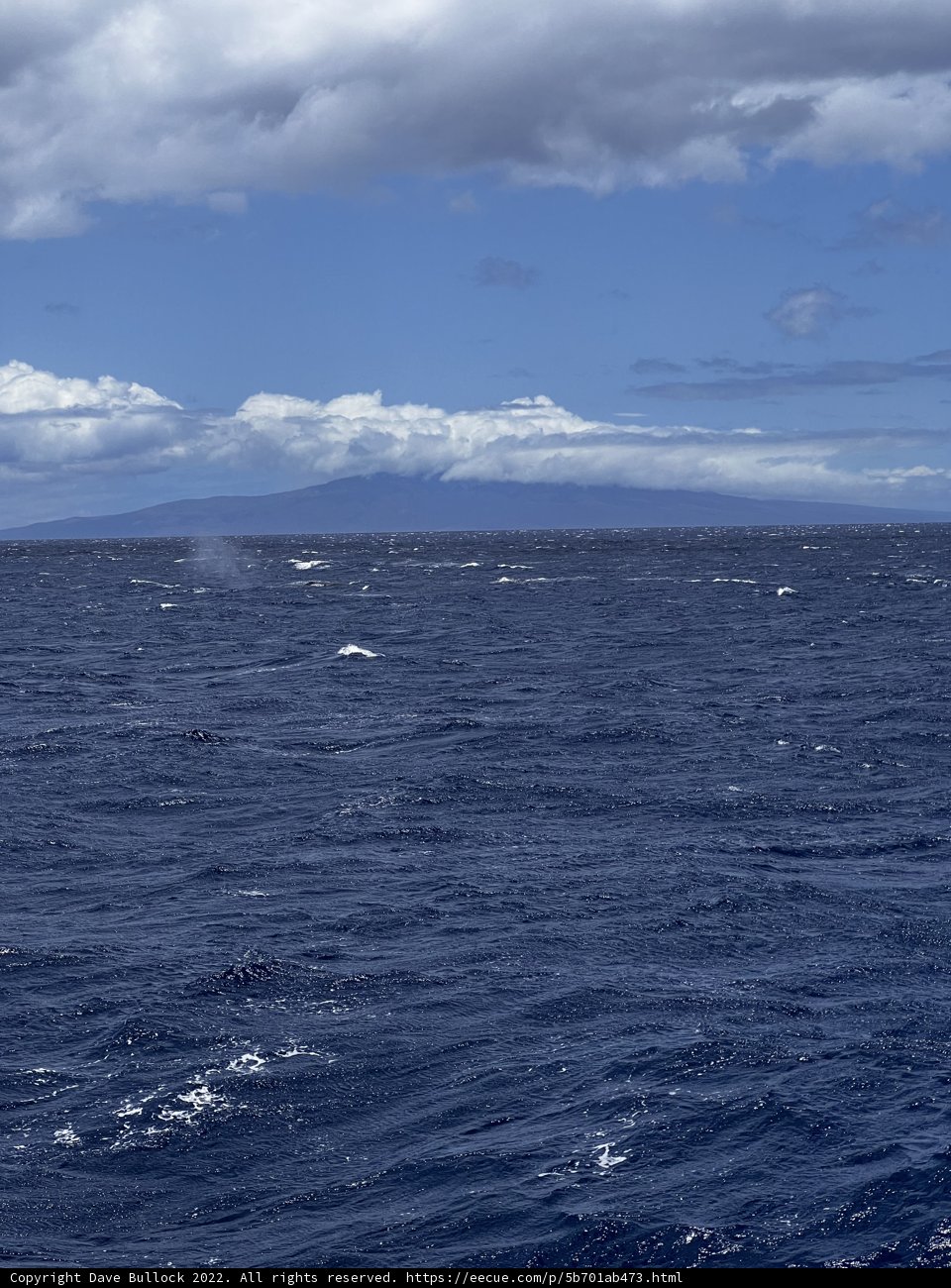 Majestic Mountain and Ocean Scenery
