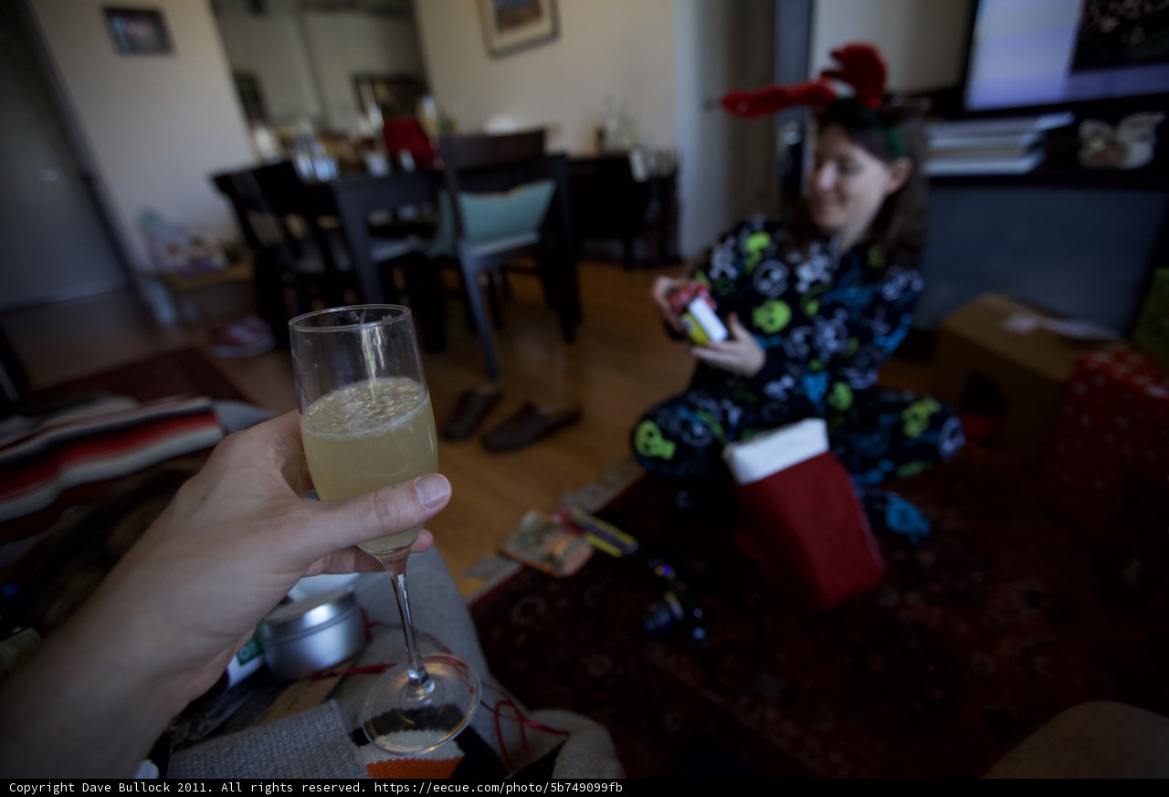Champagne Christmas Cheers