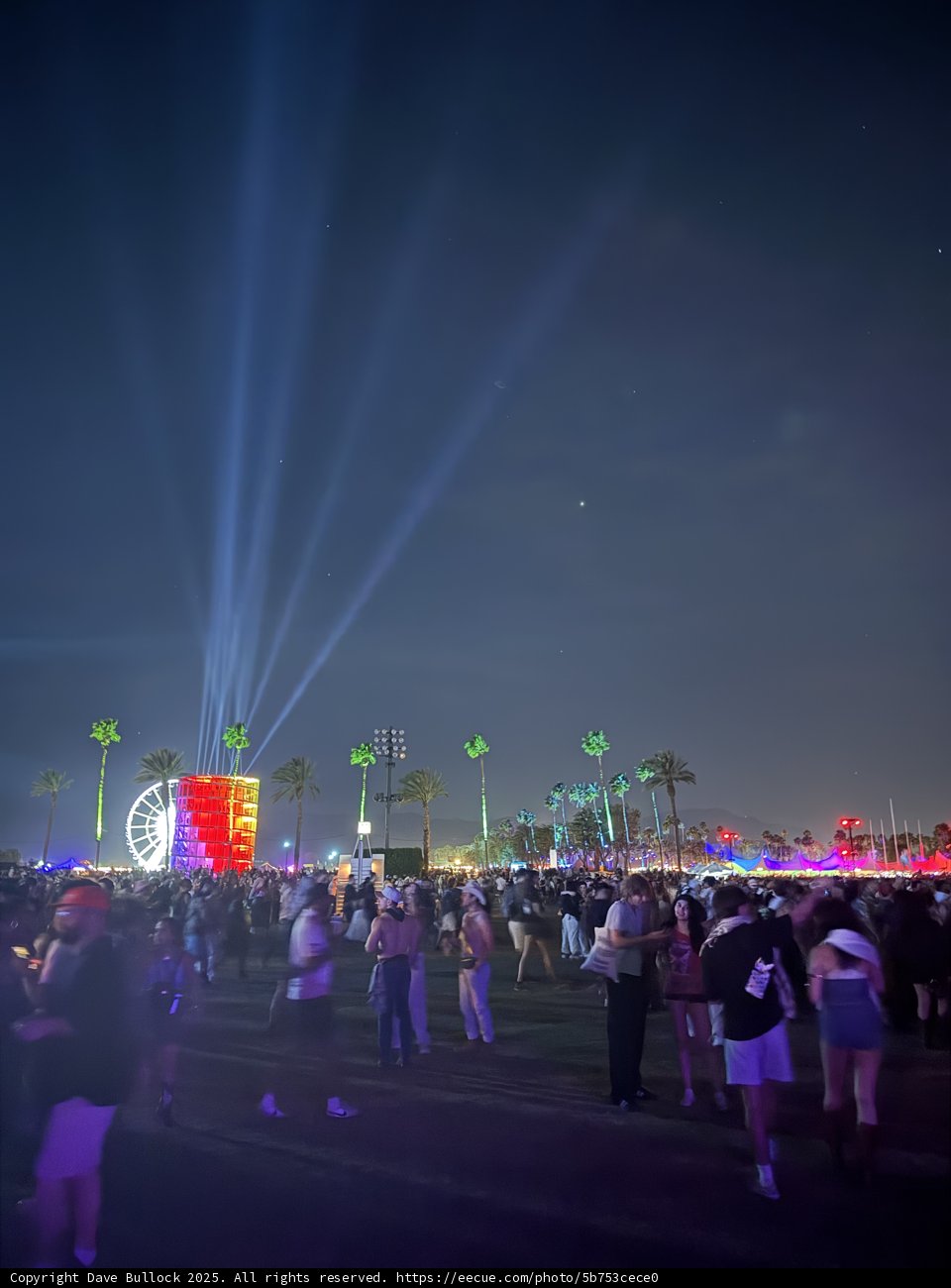 A Night of Lights and Sounds