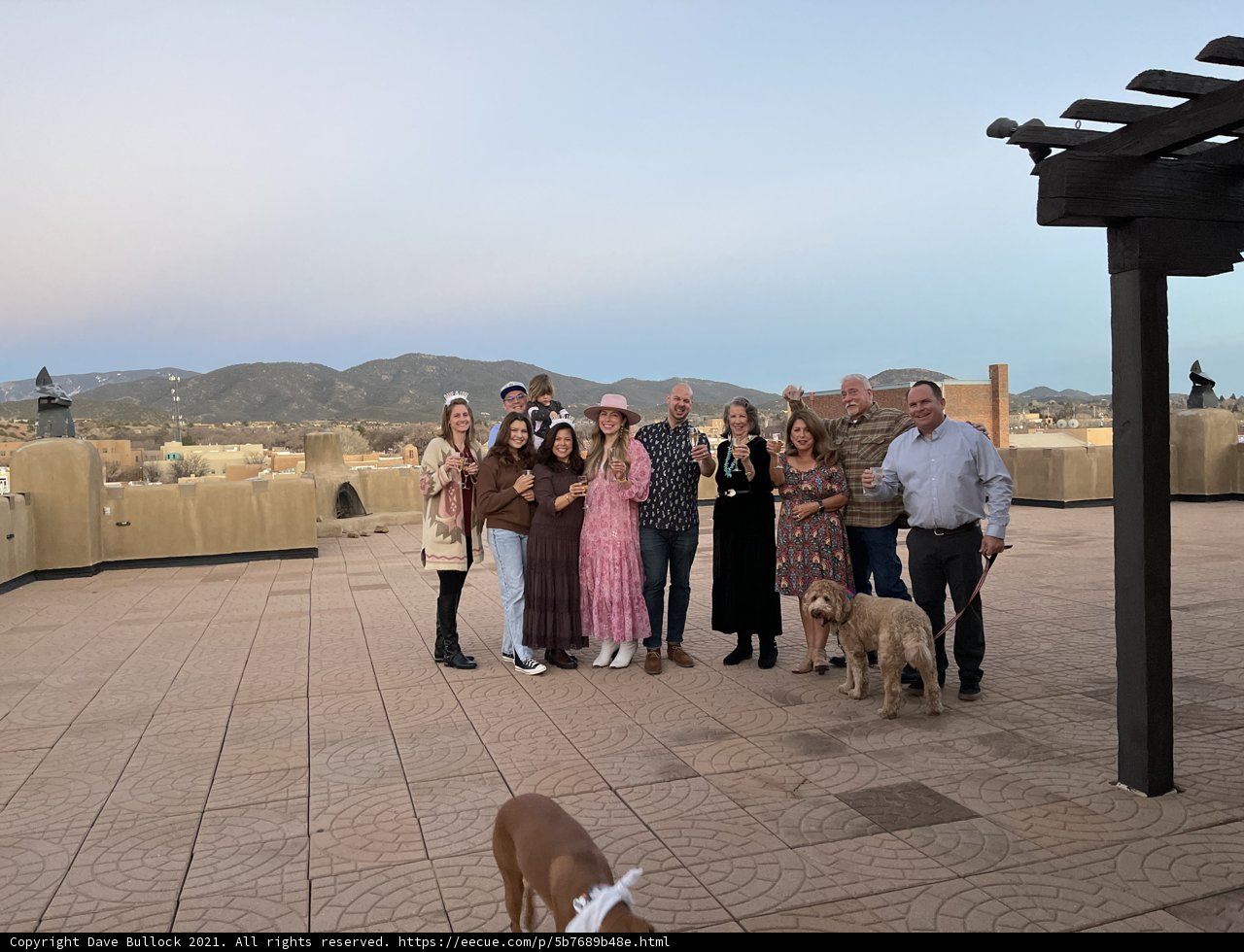 A Rooftop Gathering with Furry Friends