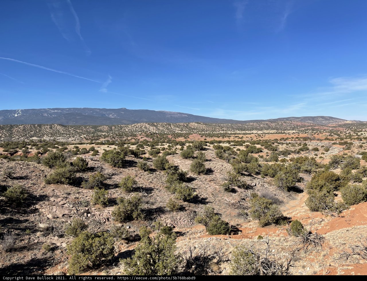 Overlooking the Desert