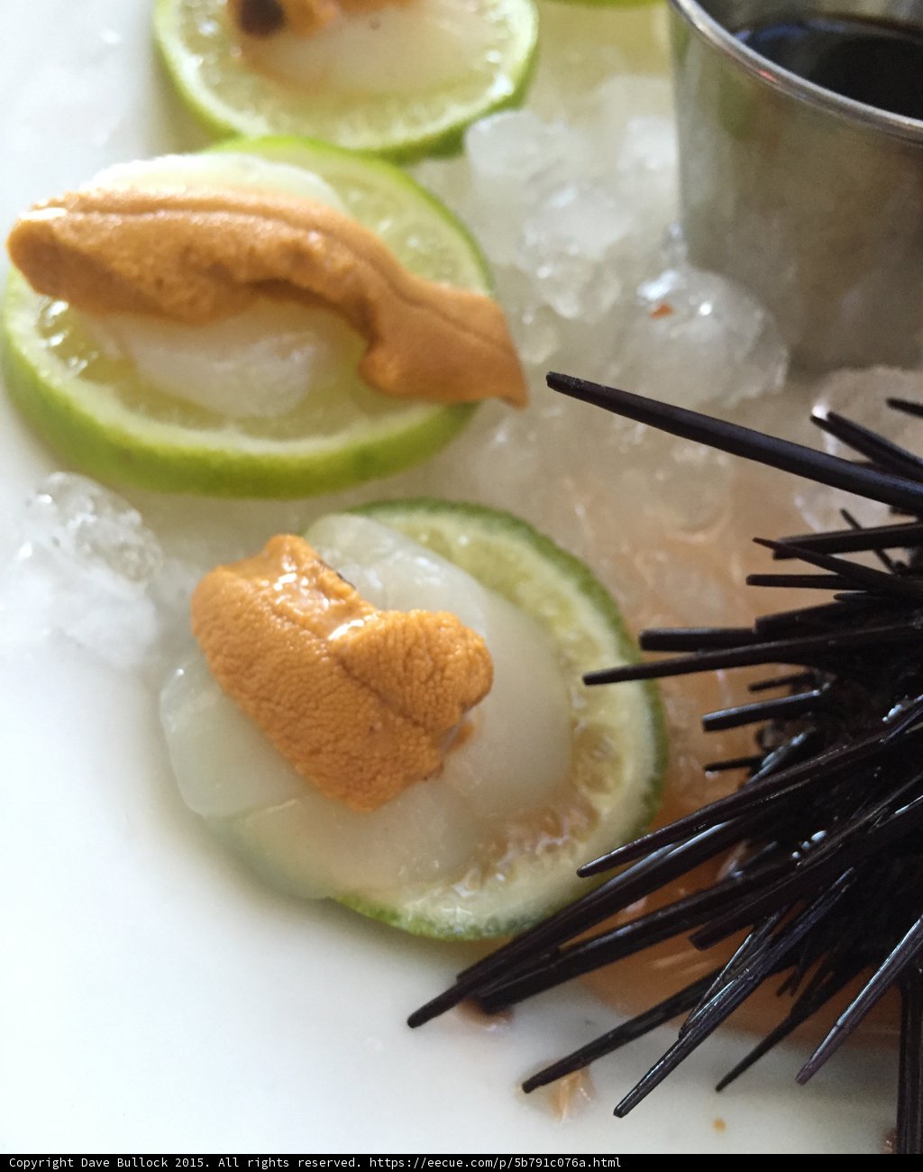 Seared Scallops with a Citrus Twist