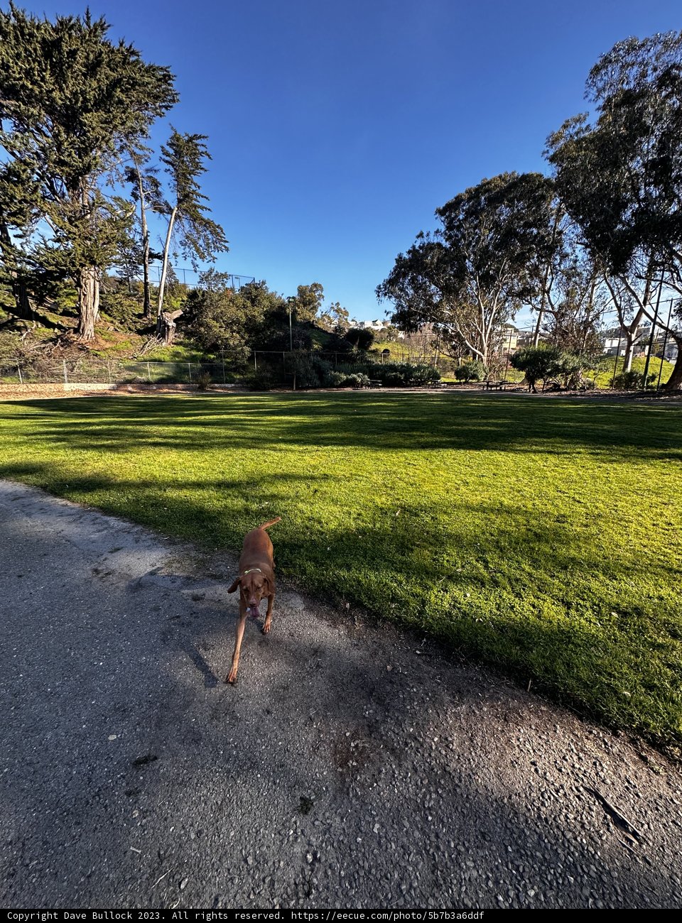 A Walk in the Park