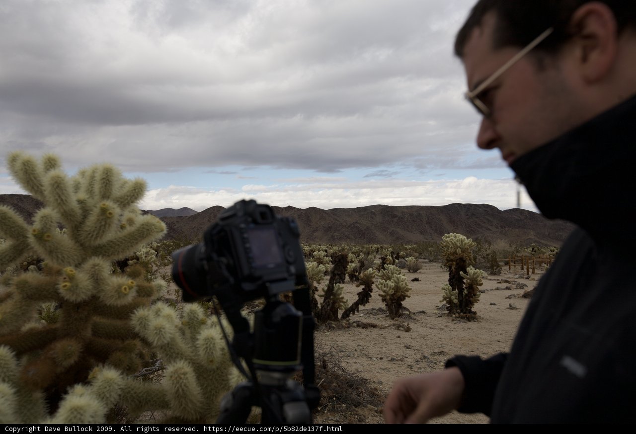 Capturing the Cactus