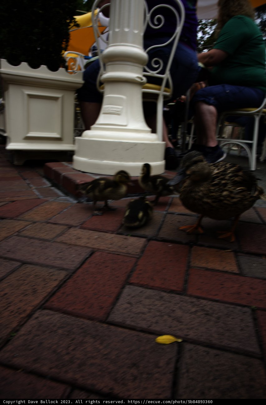 A Charming Patio Encounter