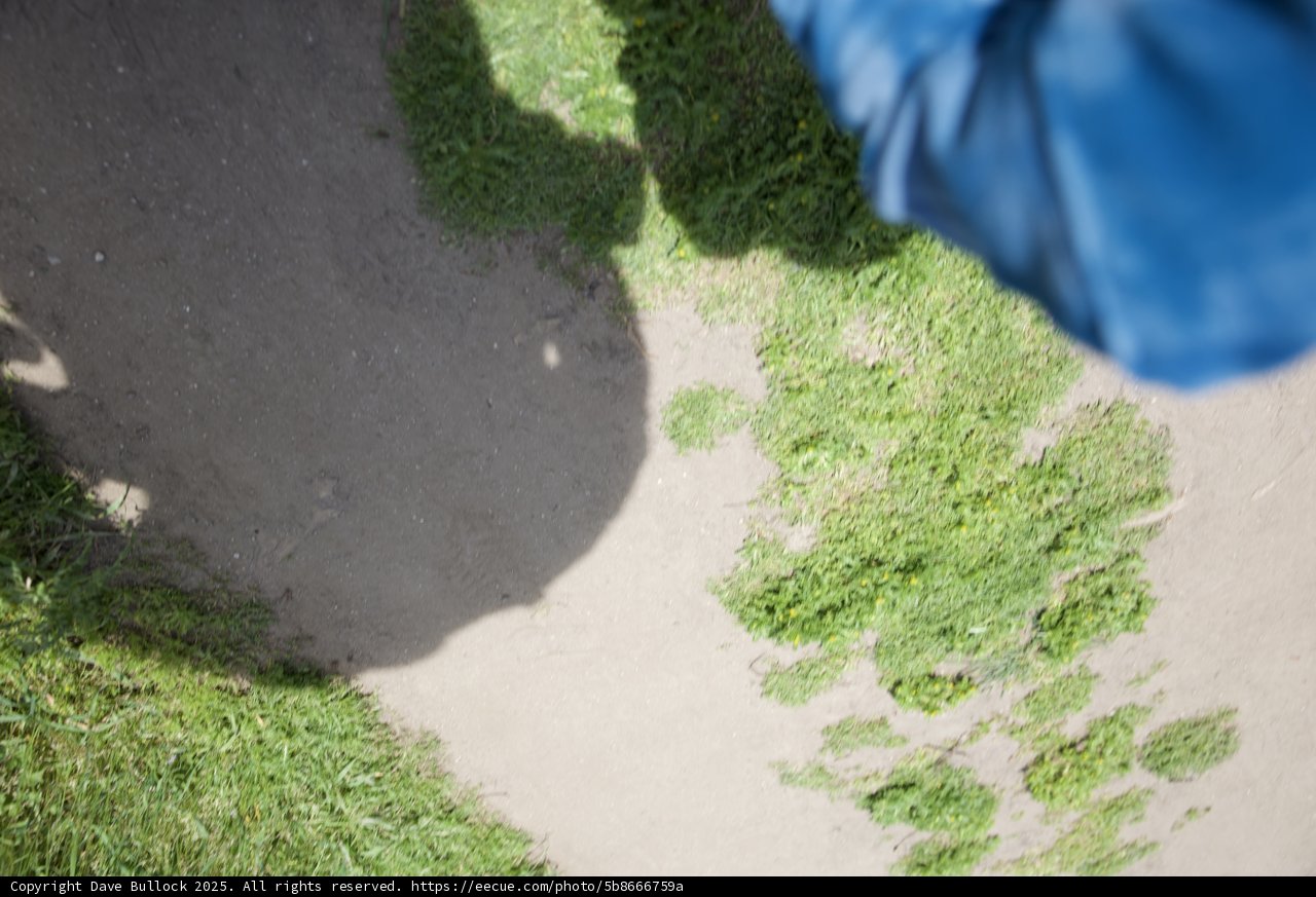 A Stroll Through Nature