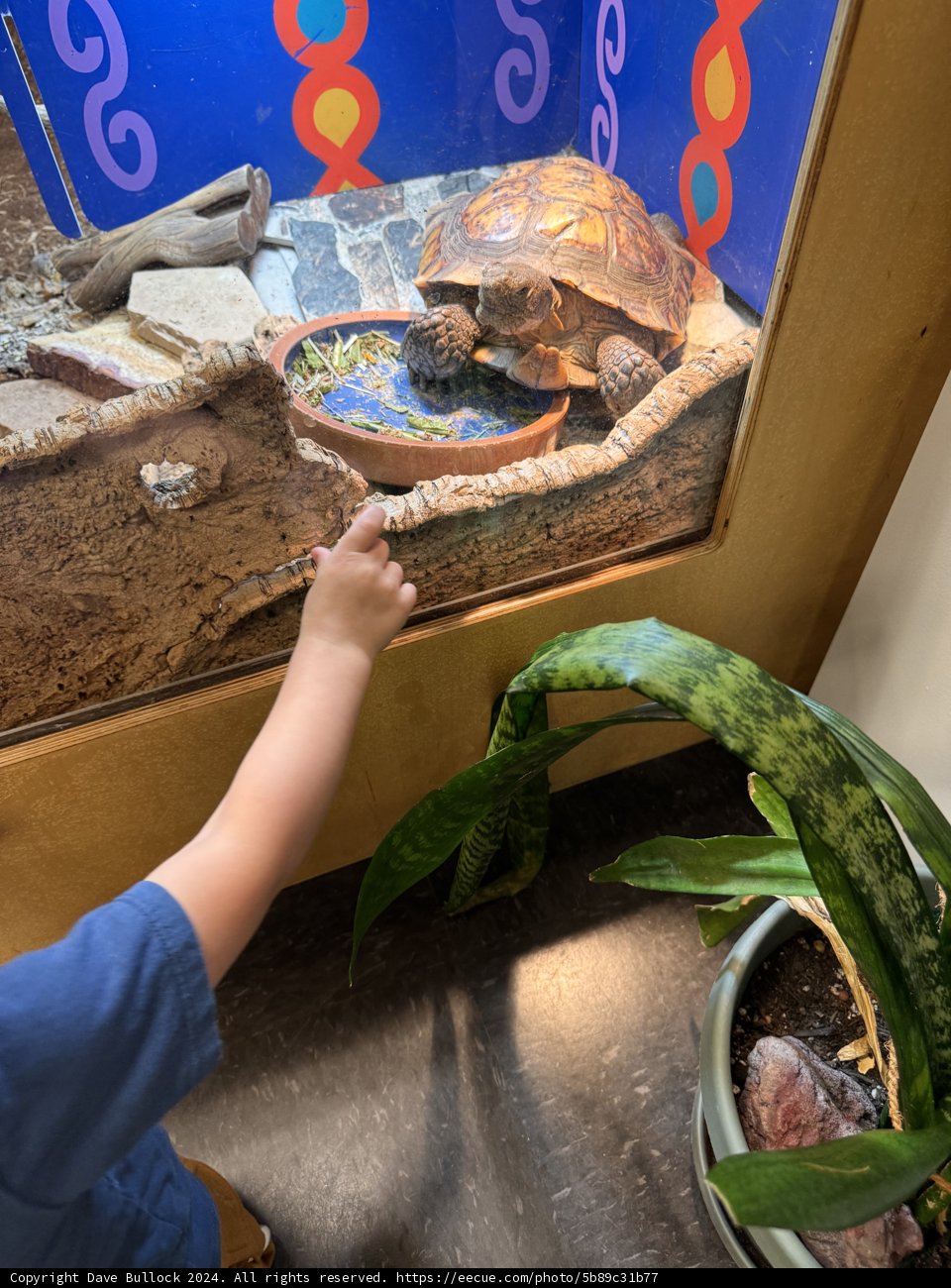Curious Encounter at the Science Hall