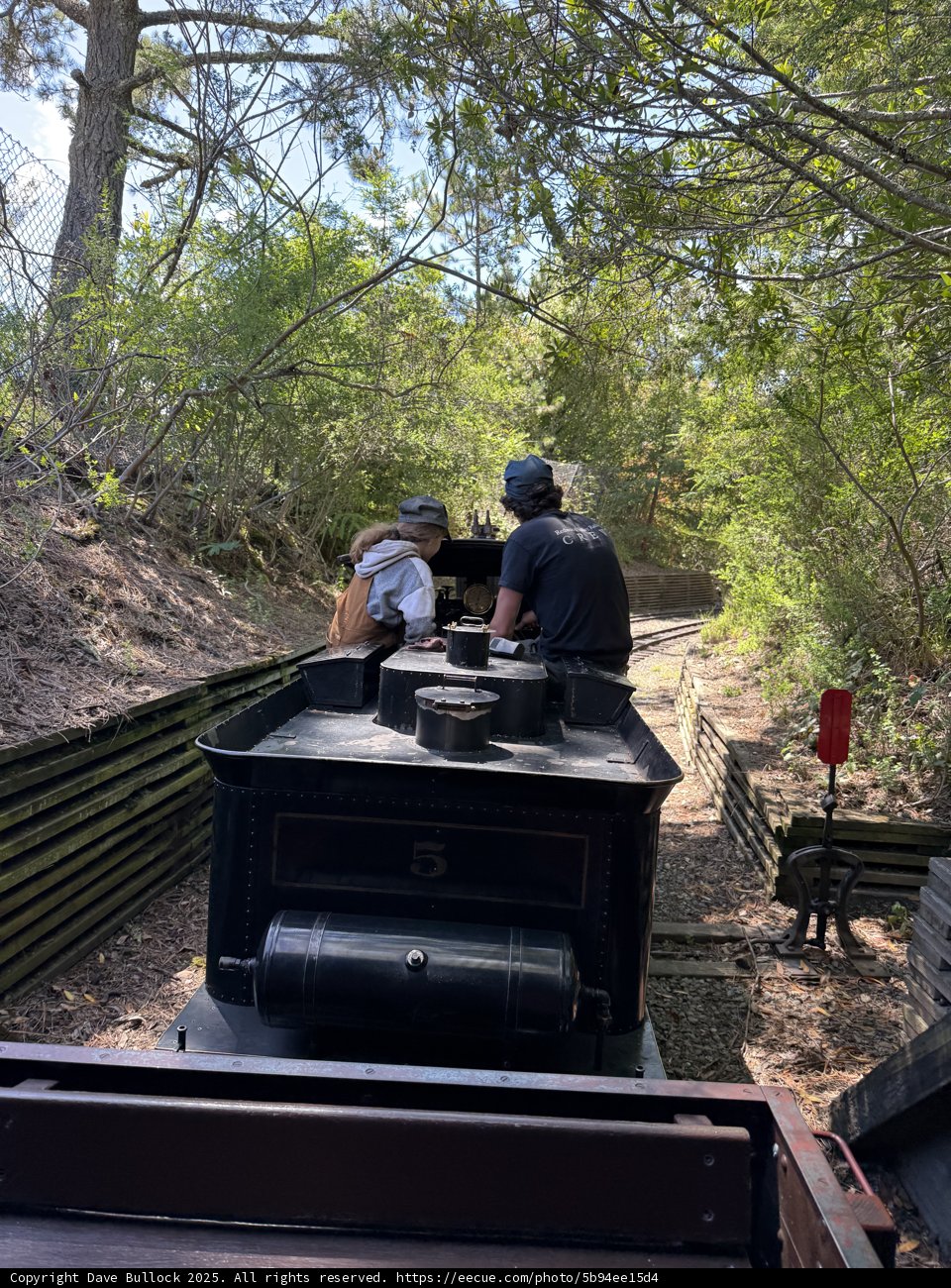 Journey Through the Green